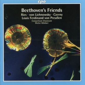 Ries, Czerny, Lichnowsky & Ferdinand: Chamber Works album cover