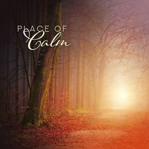 Place Of Calm: Soft Piano Melodies To Keep Cool album cover