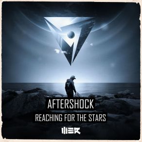 Reaching For The Stars (Maxi-Single) album cover