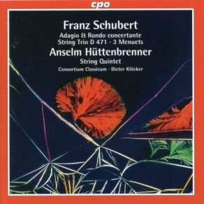 Schubert & Hüttenbrenner: Chamber Works album cover
