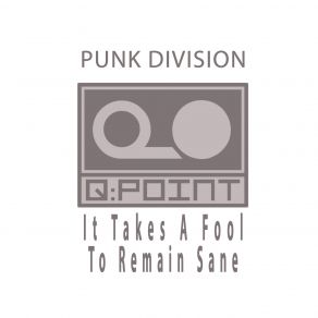 It Takes A Fool To Remain Sane album cover