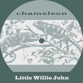 Chameleon album cover