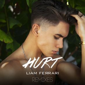 Hurt (Remixes) album cover