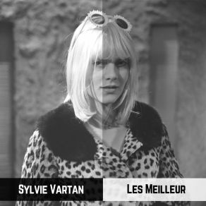 Les Meilleur album cover