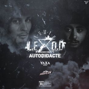 Autodidacte album cover