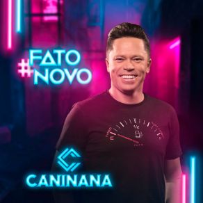 Fato Novo album cover