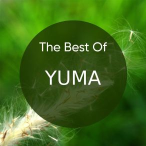 The Best Of YUMA album cover