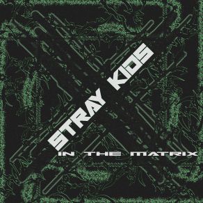 In The Matrix album cover