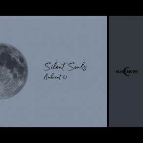 Ambient01 album cover