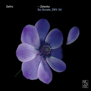 Zelenka: Sei Sonate, ZWV 181 (CD2) album cover