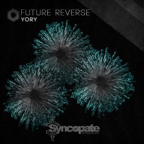 Future Reverse (Original Mix) album cover