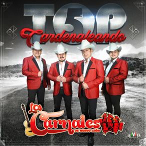 Top 5 Cardenaleando album cover
