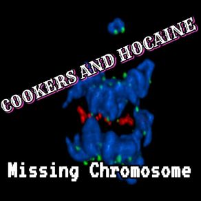 Missing Chromosone album cover