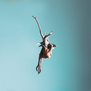 Creatures album cover