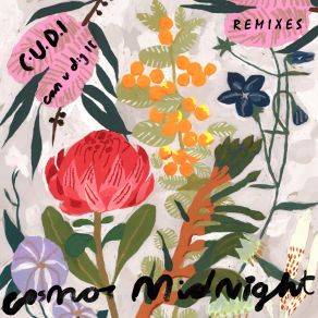 C. U. D. I (Can U Dig It) (Remixes) album cover