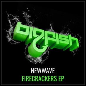 Firecrackers album cover