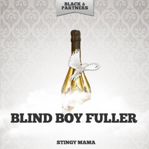 Stingy Mama album cover