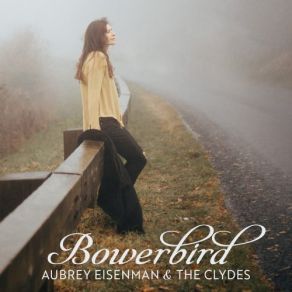 Bowerbird album cover