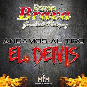 Andamos Al Tiro album cover