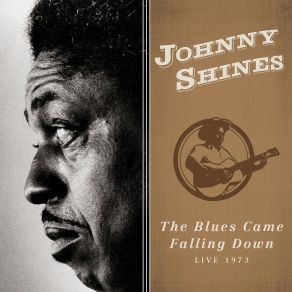 The Blues Came Falling Down (Live 1973) album cover