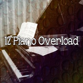 12 Piano Overload album cover