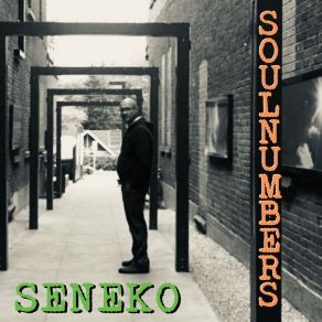 Soul Numbers album cover