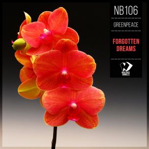 Forgotten Dreams (Original Mix) album cover