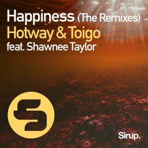 Happiness (The Remixes) album cover