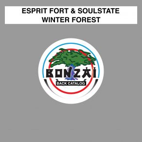 Winter Forest (Maxi-Single) album cover