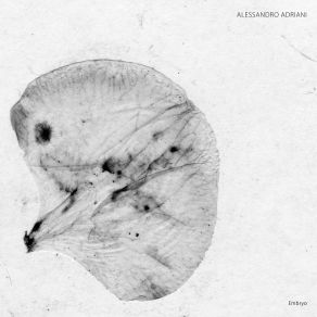 Embryo album cover