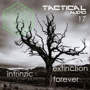 TA-17 album cover