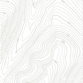 Dissonance album cover
