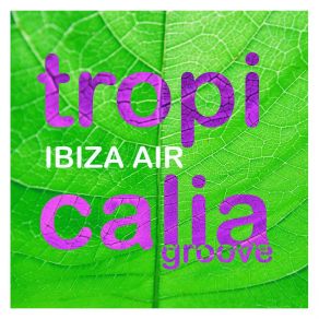 Tropicalia Groove album cover