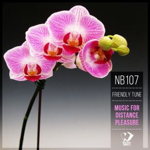 Music For Distance Pleasure (Original Mix) album cover