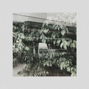 Forget Forgot Forgotten album cover