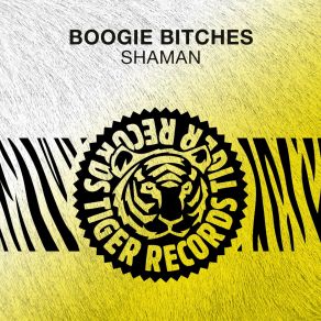 Shaman album cover