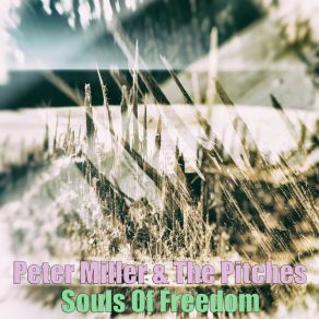 Souls Of Freedom album cover