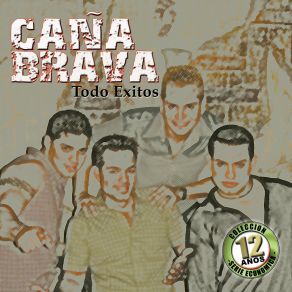 Todo Exitos album cover