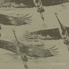 Tranorna Kommer album cover