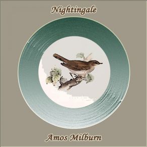 Nightingale album cover
