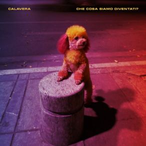 Che Cosa Siamo Diventati? album cover