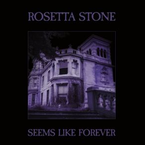 Seems Like Forever album cover