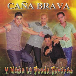 Y Nadie Lo Puede Pararam album cover