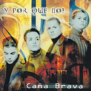 Y Por Que No? album cover