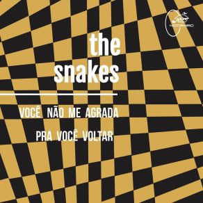 Você Não Me Agrada / Pra Você Voltar album cover