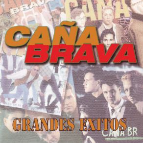 Grandes Exitos album cover