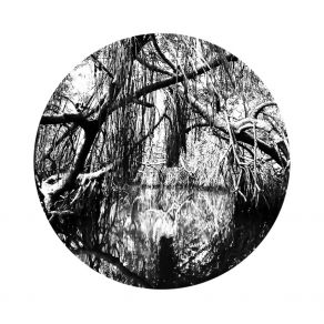 Black Marsh album cover