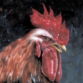 Magic Rooster Love album cover