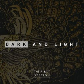 Dark And Light album cover