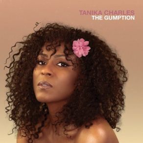 The Gumption album cover